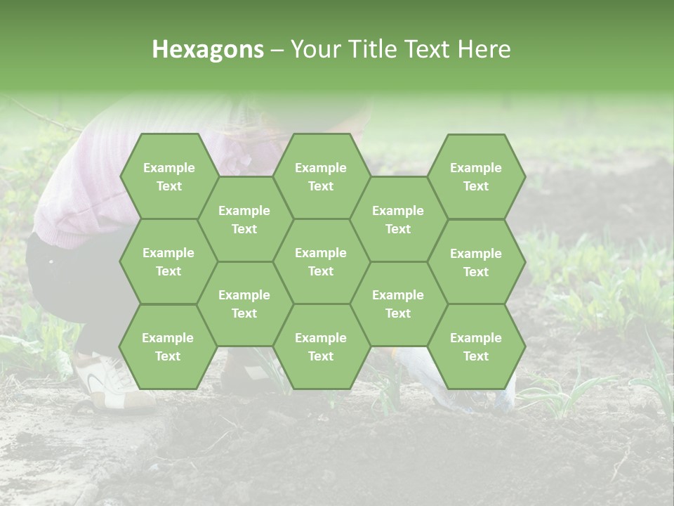 Countryside Seed Female PowerPoint Template