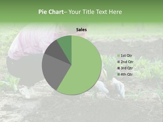 Countryside Seed Female PowerPoint Template