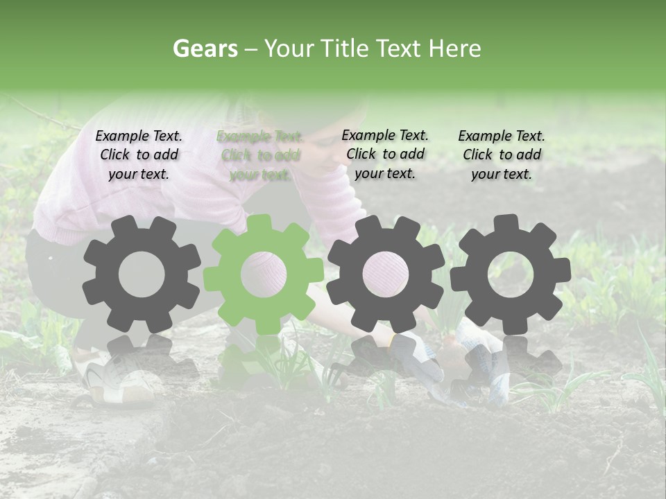 Countryside Seed Female PowerPoint Template