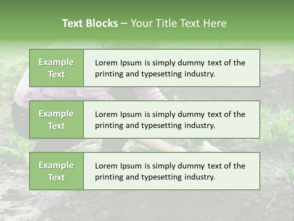 Countryside Seed Female PowerPoint Template