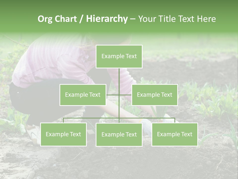 Countryside Seed Female PowerPoint Template