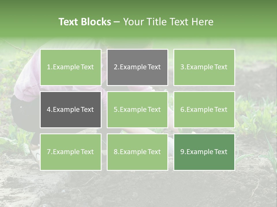 Countryside Seed Female PowerPoint Template