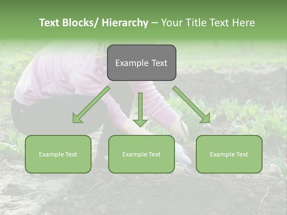 Countryside Seed Female PowerPoint Template