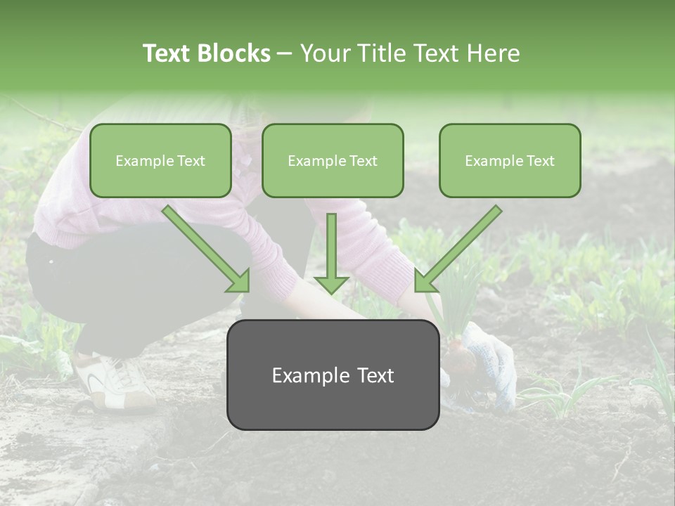 Countryside Seed Female PowerPoint Template