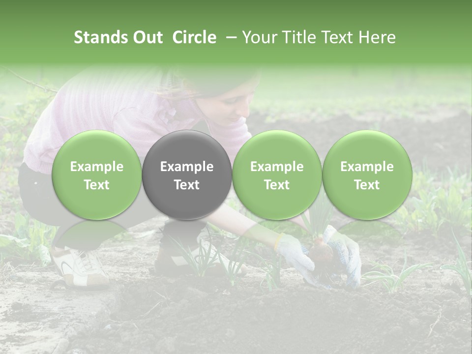 Countryside Seed Female PowerPoint Template