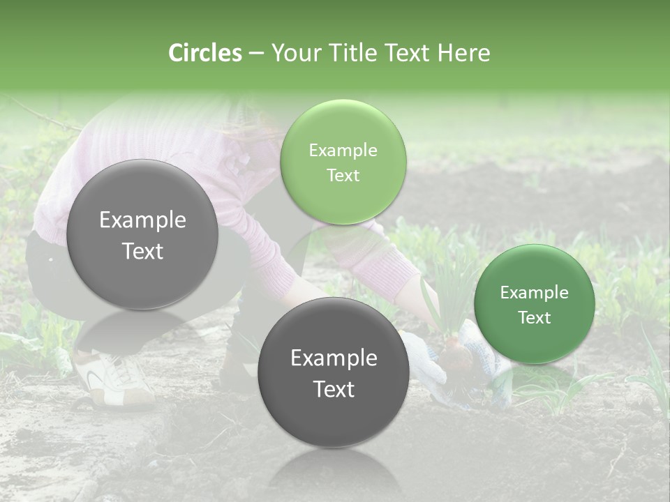 Countryside Seed Female PowerPoint Template