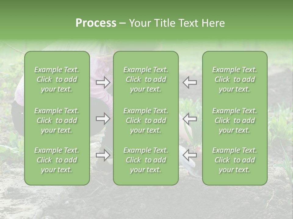 Countryside Seed Female PowerPoint Template