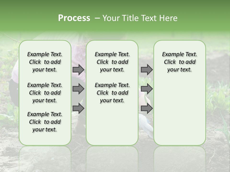 Countryside Seed Female PowerPoint Template