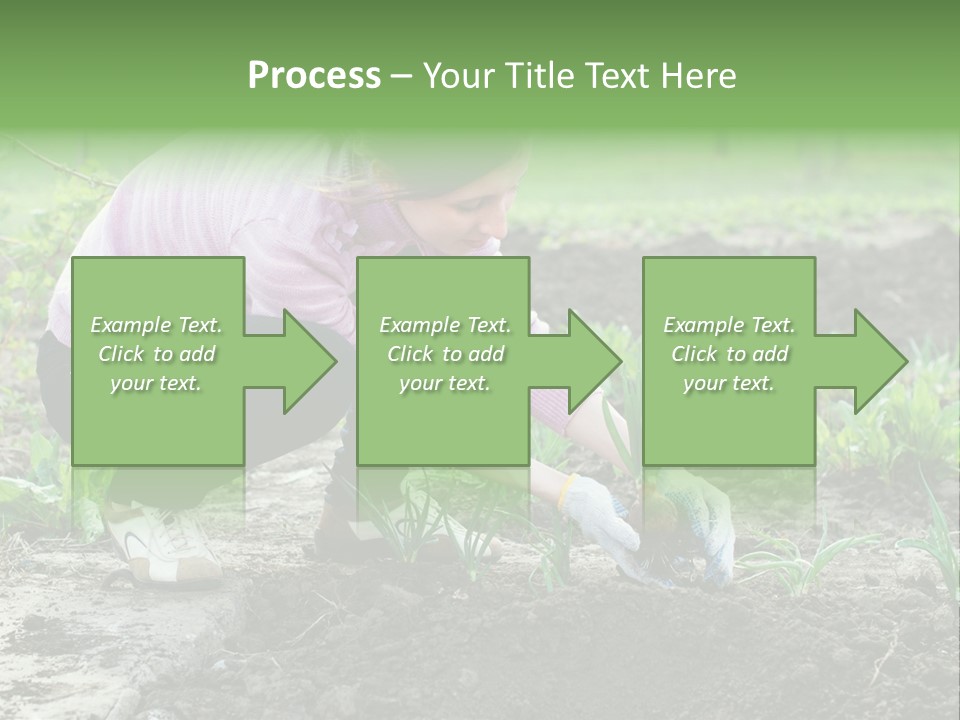 Countryside Seed Female PowerPoint Template
