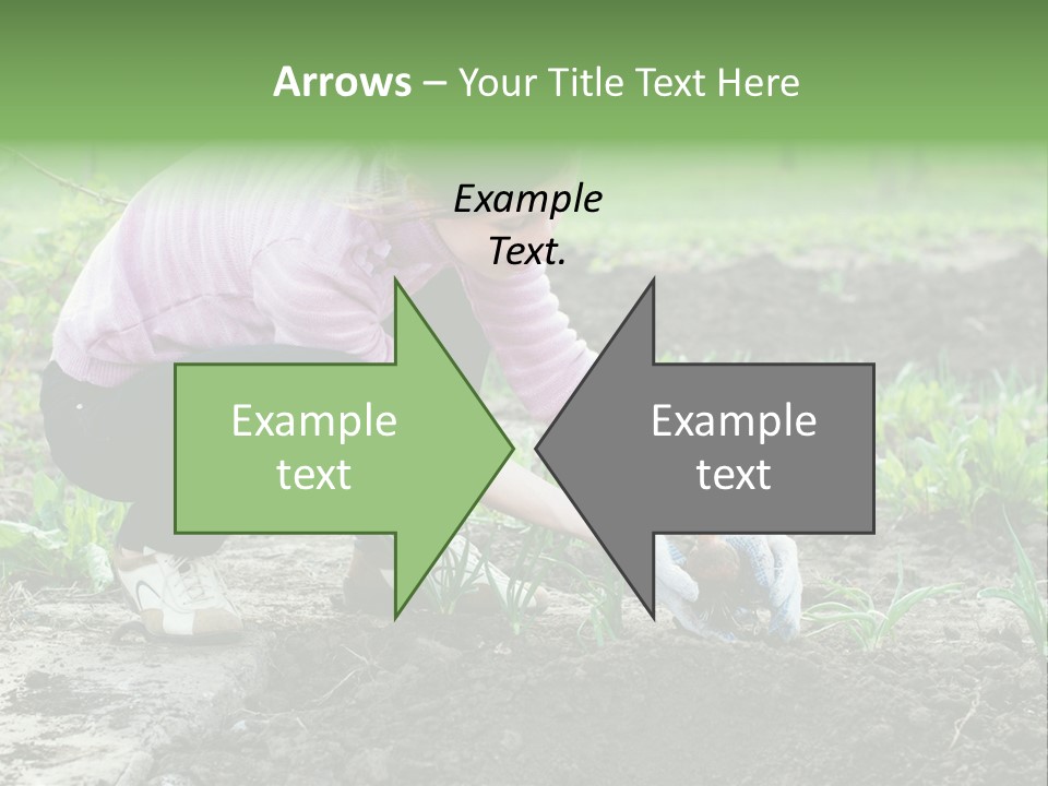 Countryside Seed Female PowerPoint Template