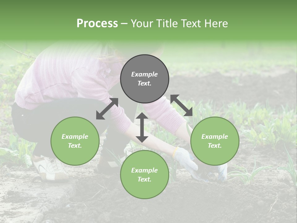 Countryside Seed Female PowerPoint Template