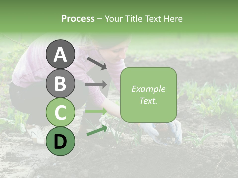 Countryside Seed Female PowerPoint Template