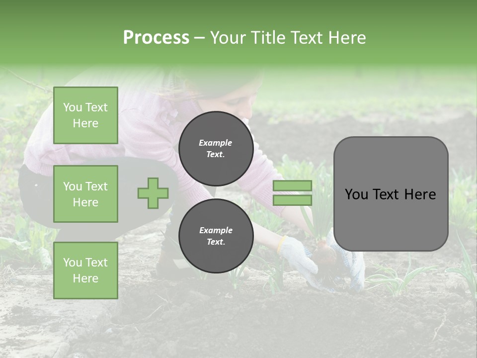 Countryside Seed Female PowerPoint Template