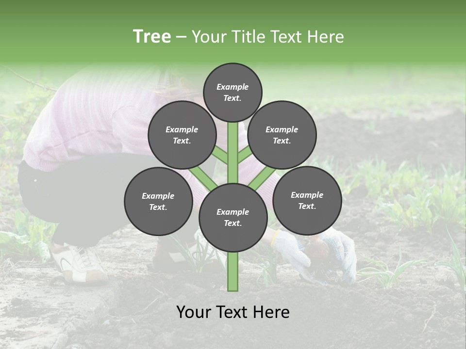 Countryside Seed Female PowerPoint Template