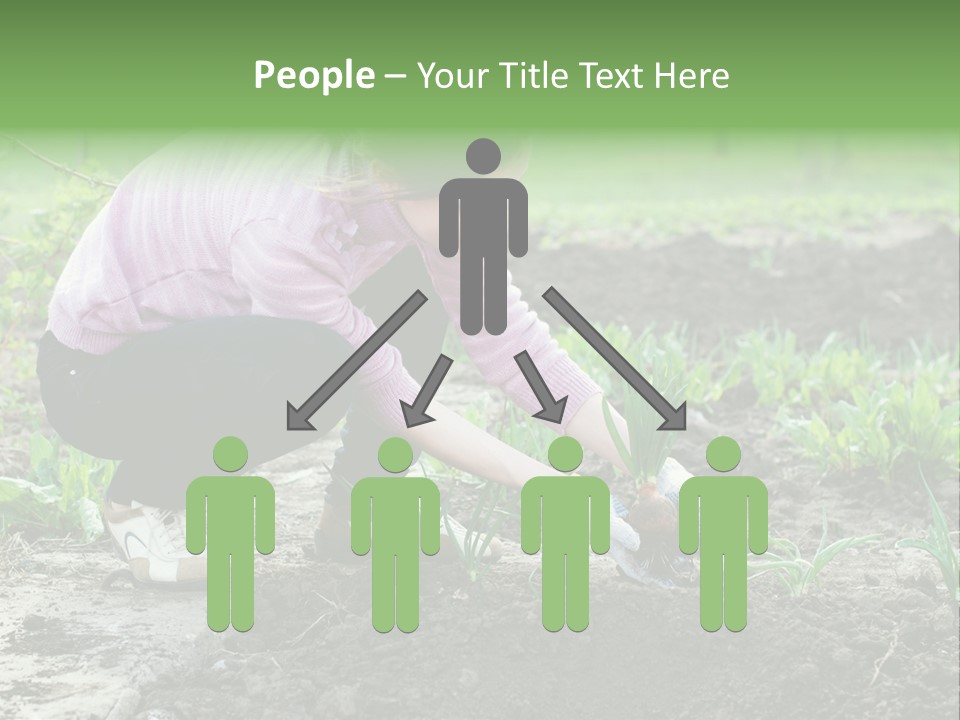 Countryside Seed Female PowerPoint Template
