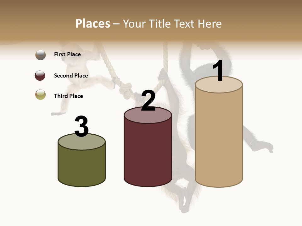 No People Hanging Bonobo PowerPoint Template