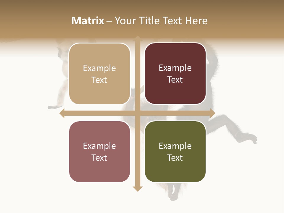 No People Hanging Bonobo PowerPoint Template