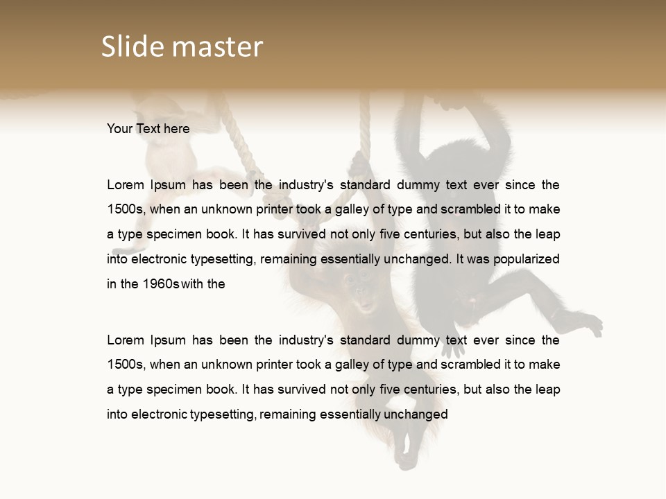 No People Hanging Bonobo PowerPoint Template