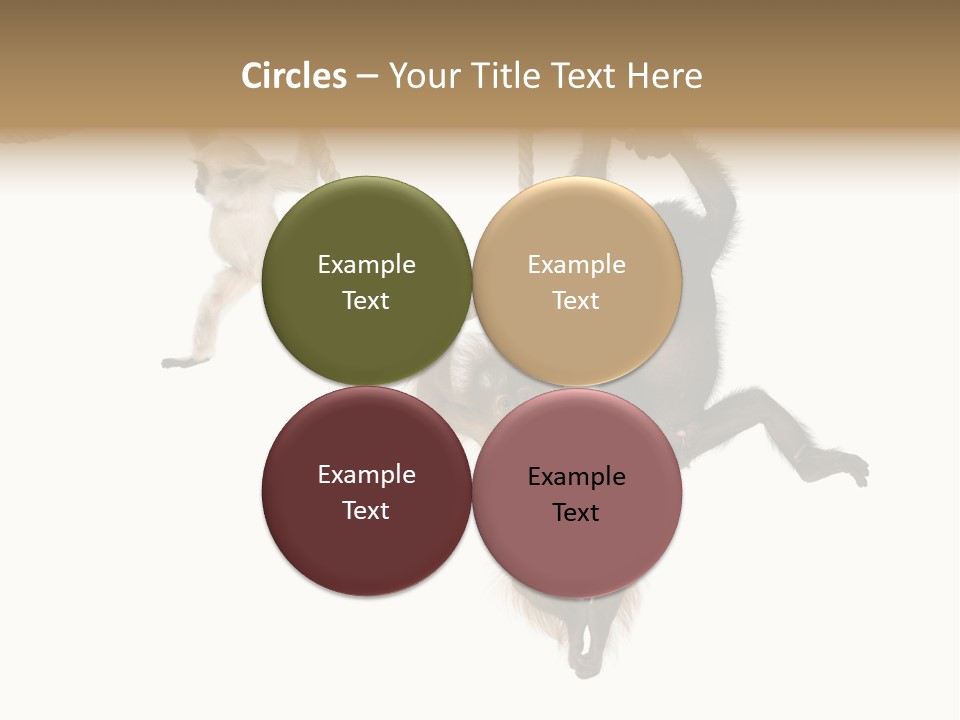 No People Hanging Bonobo PowerPoint Template