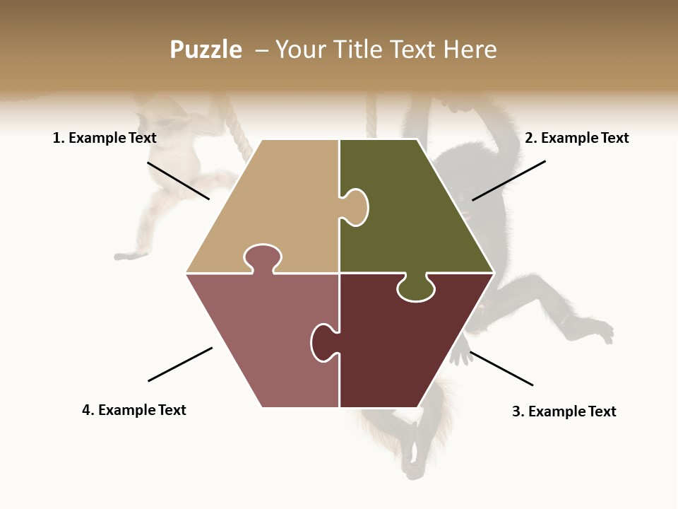 No People Hanging Bonobo PowerPoint Template