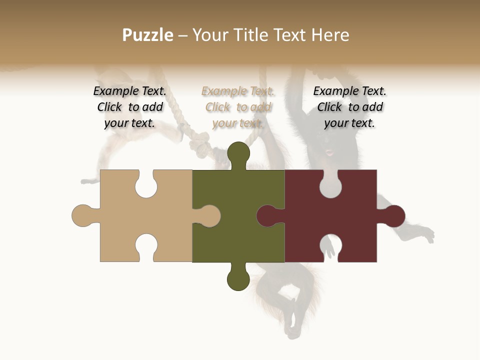 No People Hanging Bonobo PowerPoint Template