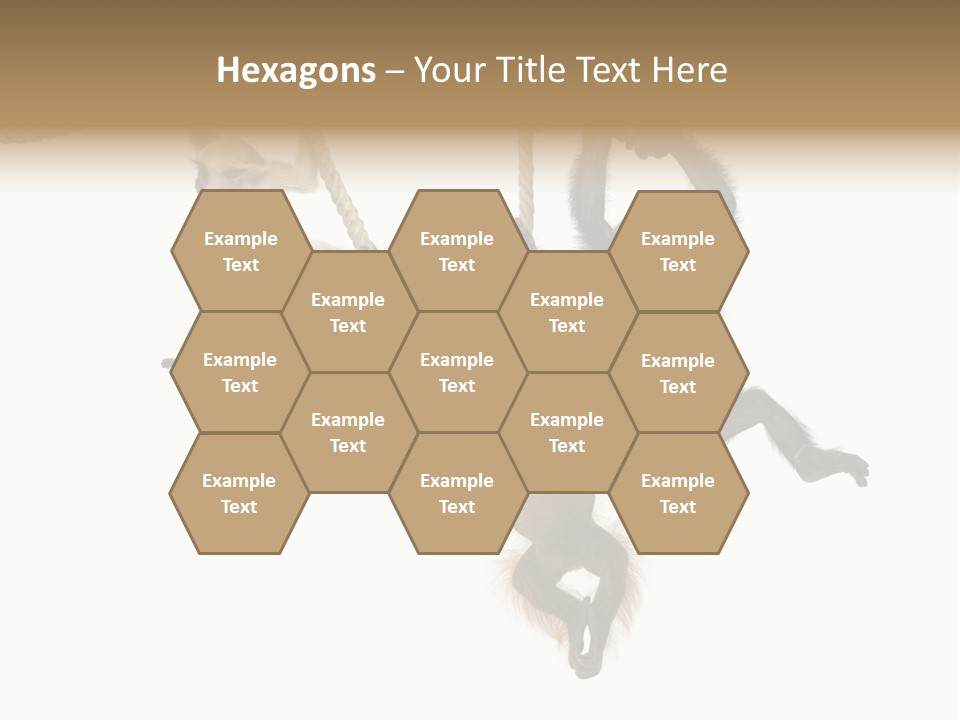 No People Hanging Bonobo PowerPoint Template