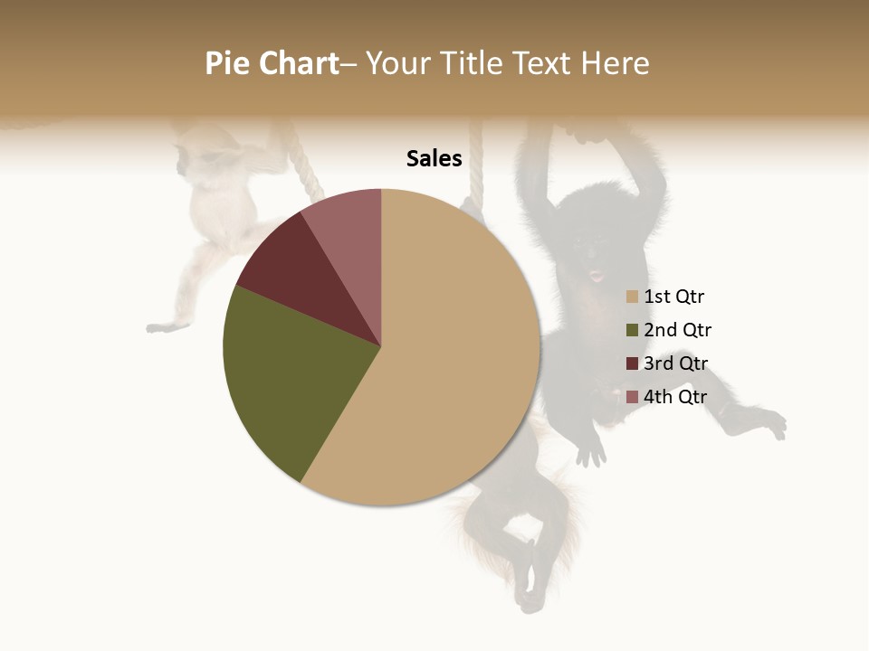 No People Hanging Bonobo PowerPoint Template