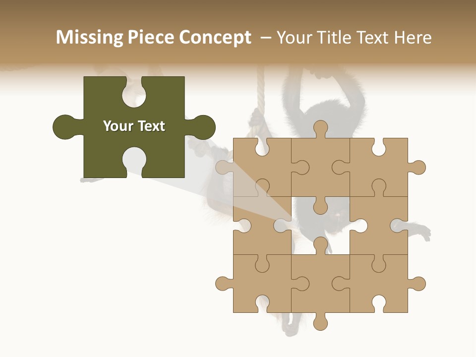 No People Hanging Bonobo PowerPoint Template