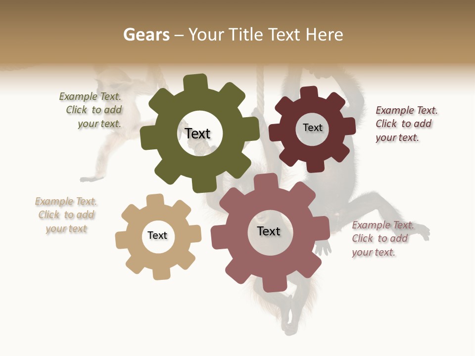 No People Hanging Bonobo PowerPoint Template