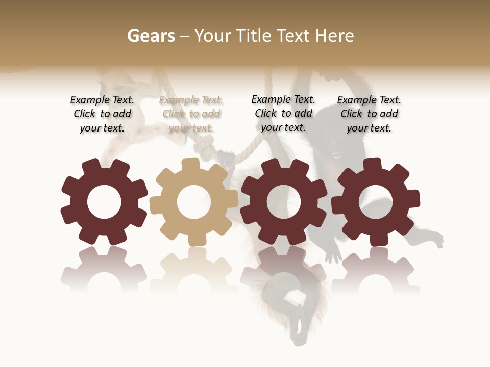 No People Hanging Bonobo PowerPoint Template