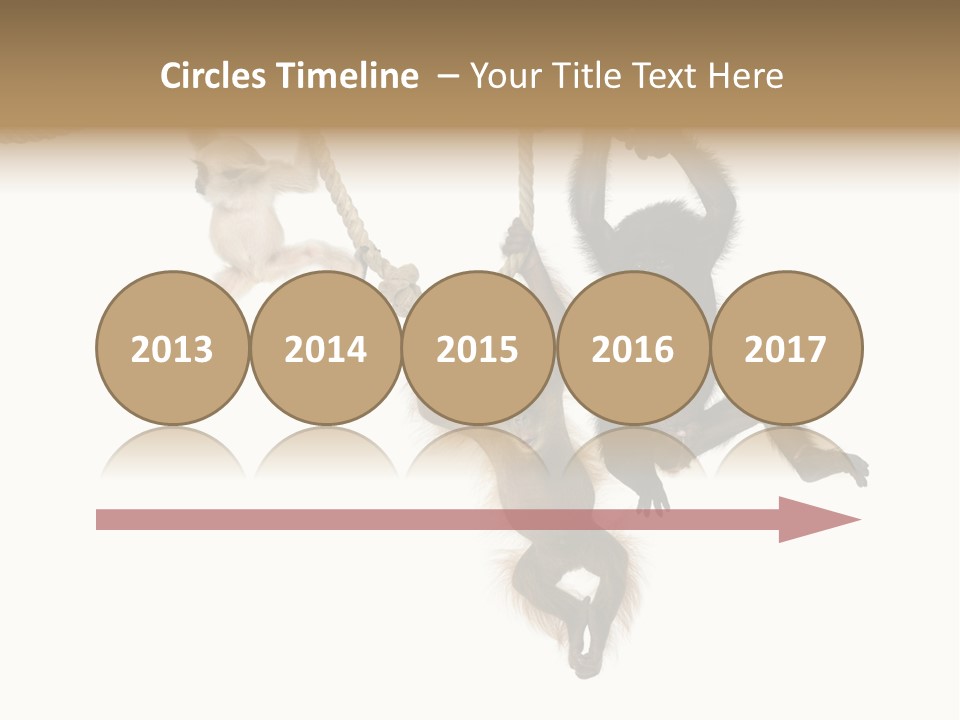 No People Hanging Bonobo PowerPoint Template