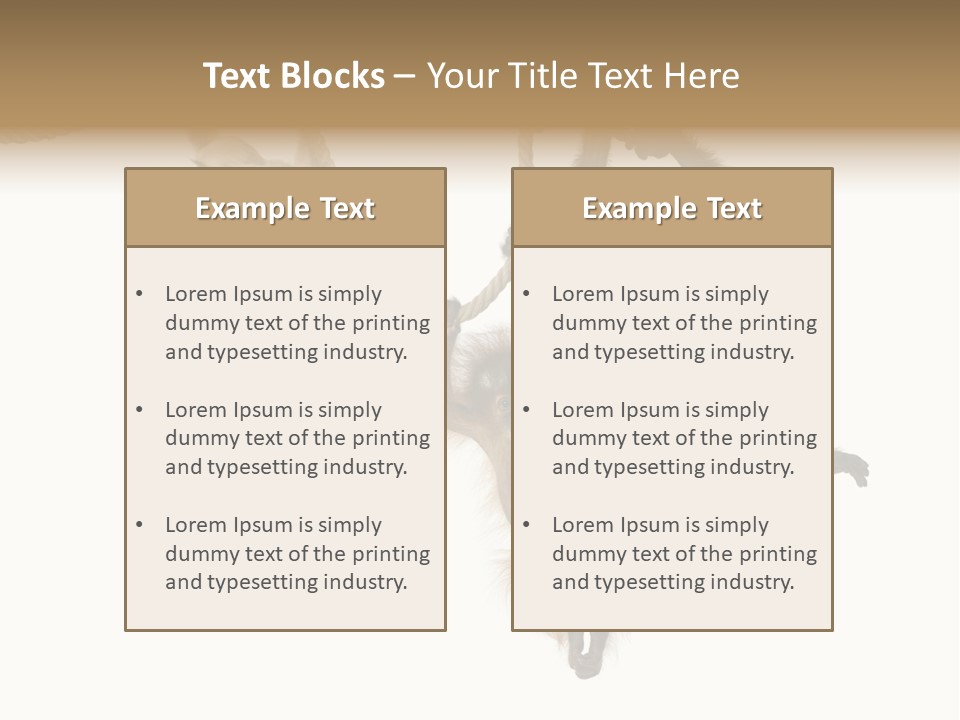 No People Hanging Bonobo PowerPoint Template