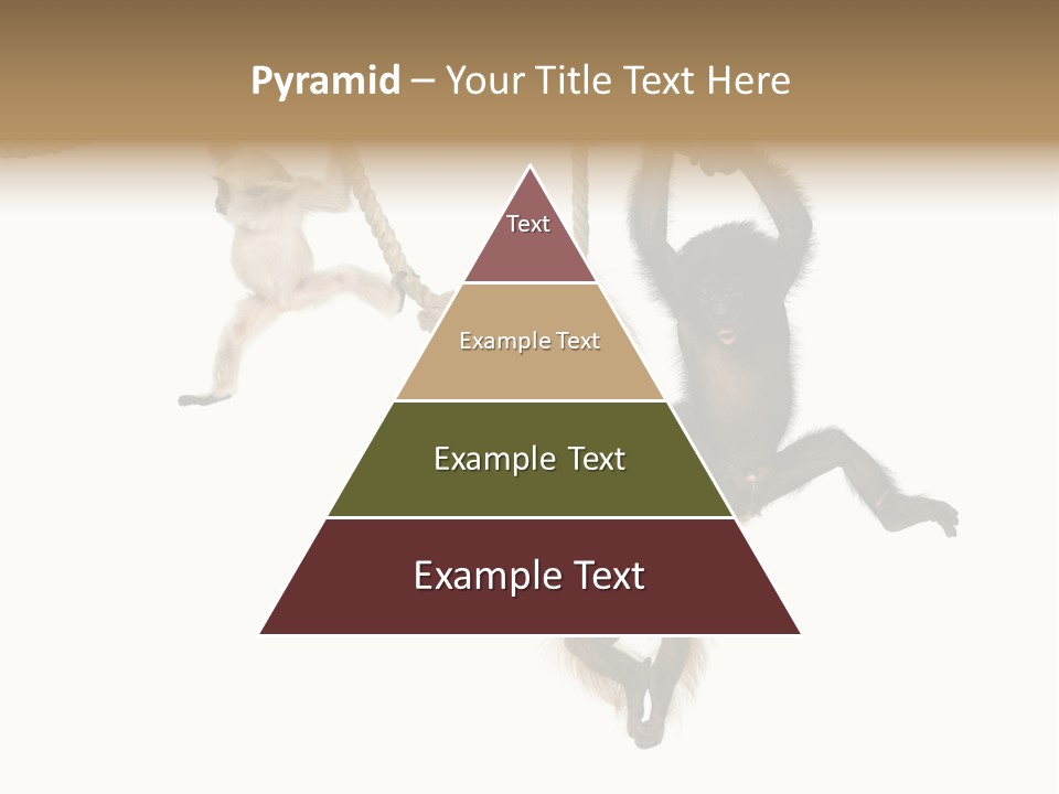 No People Hanging Bonobo PowerPoint Template