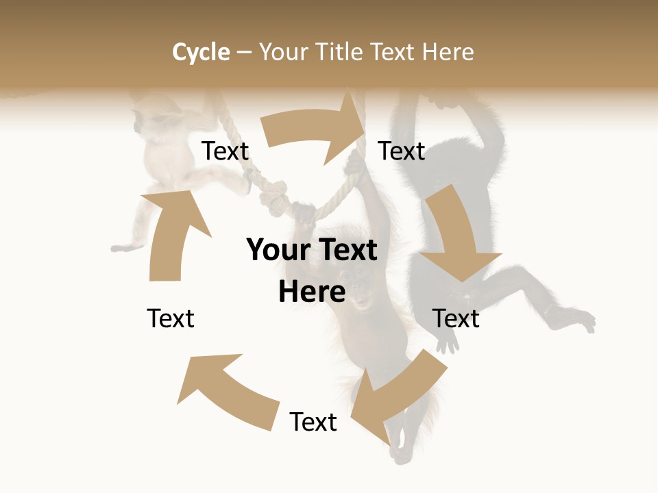 No People Hanging Bonobo PowerPoint Template