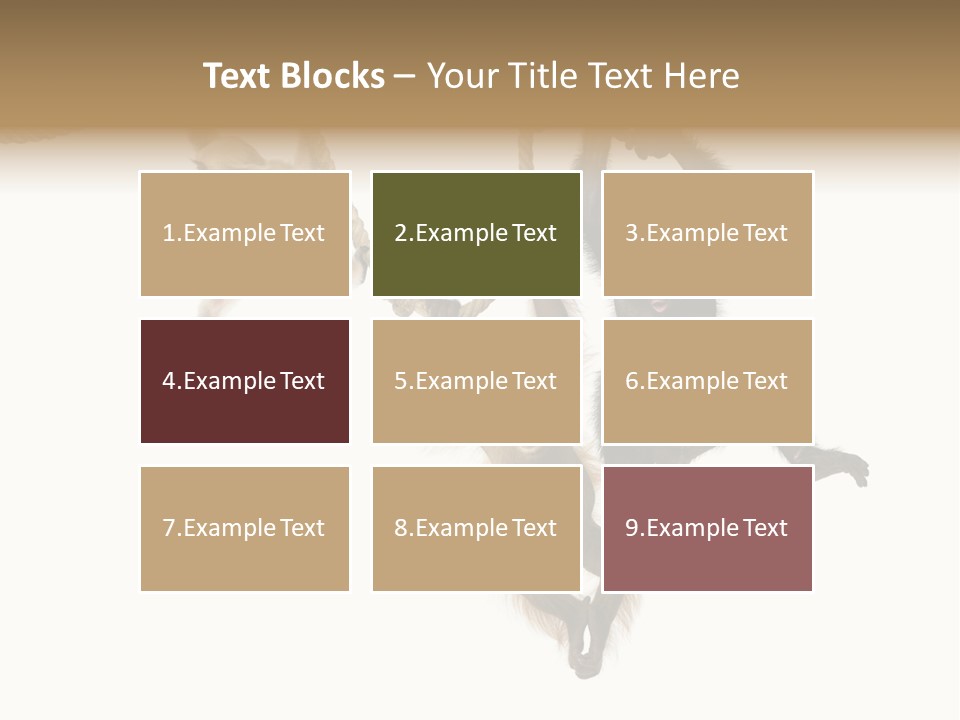 No People Hanging Bonobo PowerPoint Template