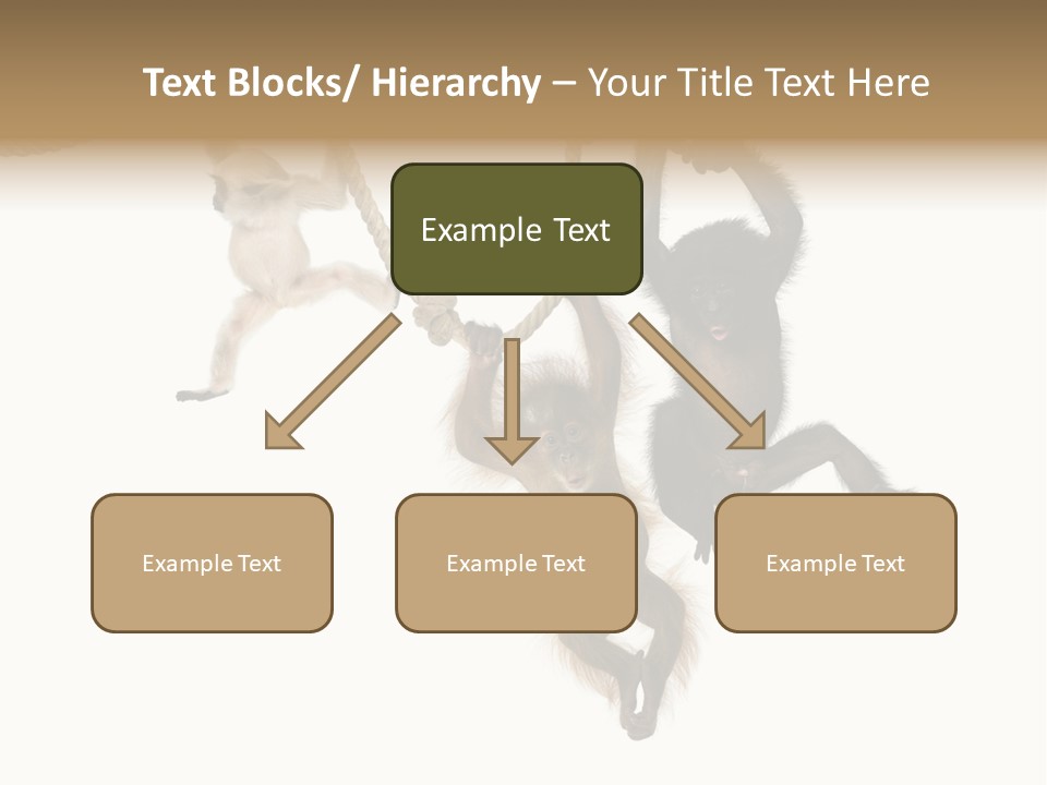 No People Hanging Bonobo PowerPoint Template