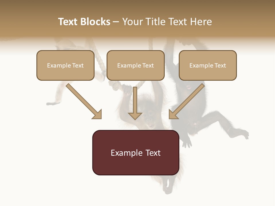 No People Hanging Bonobo PowerPoint Template