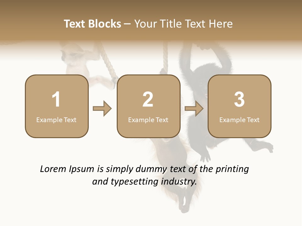 No People Hanging Bonobo PowerPoint Template