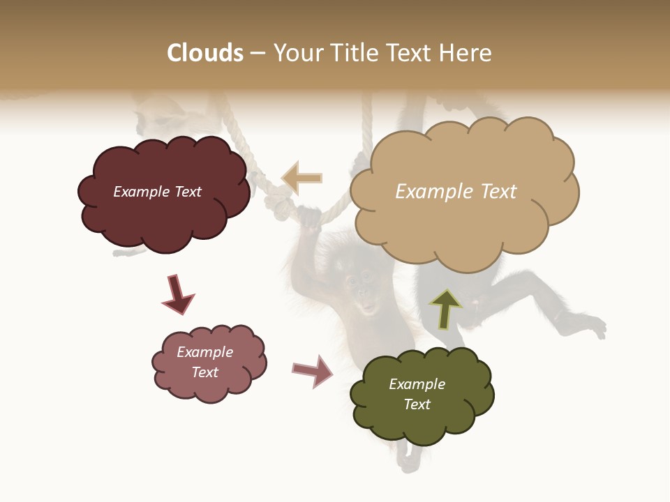 No People Hanging Bonobo PowerPoint Template