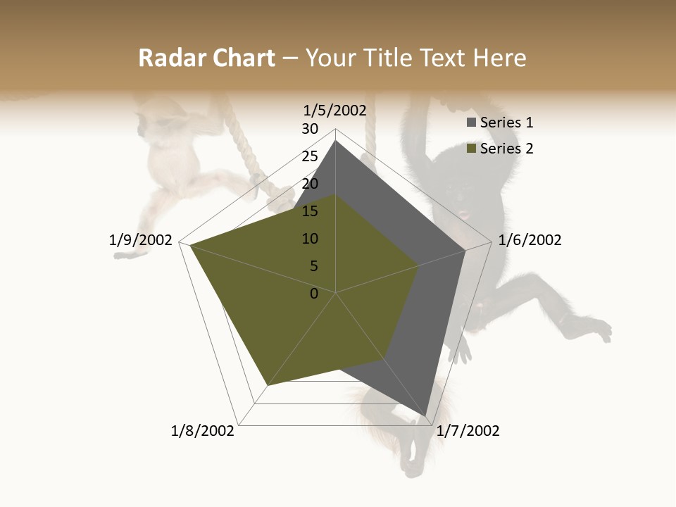 No People Hanging Bonobo PowerPoint Template