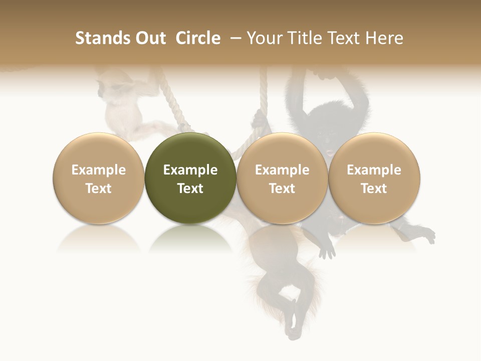 No People Hanging Bonobo PowerPoint Template