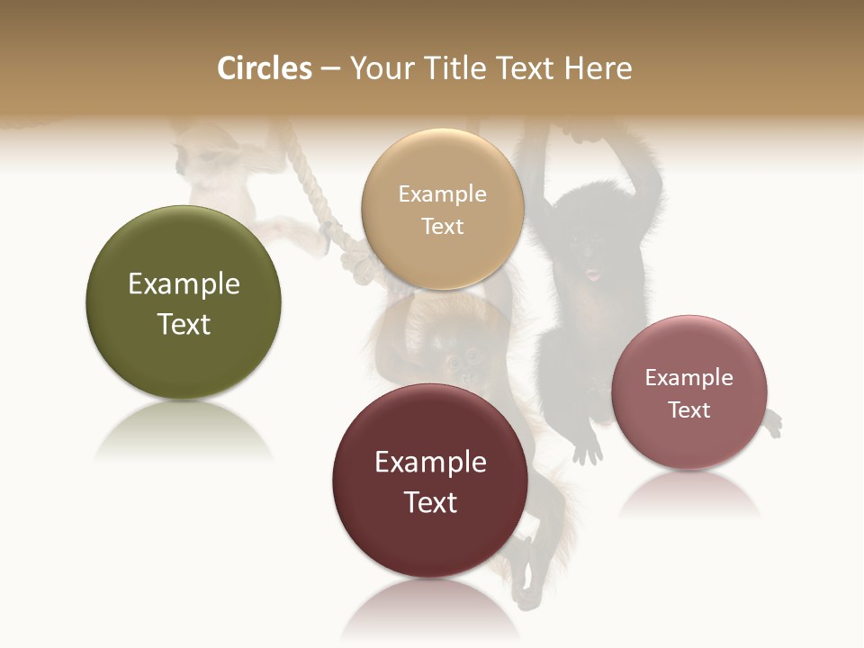 No People Hanging Bonobo PowerPoint Template