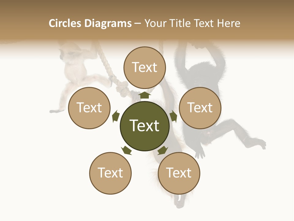 No People Hanging Bonobo PowerPoint Template