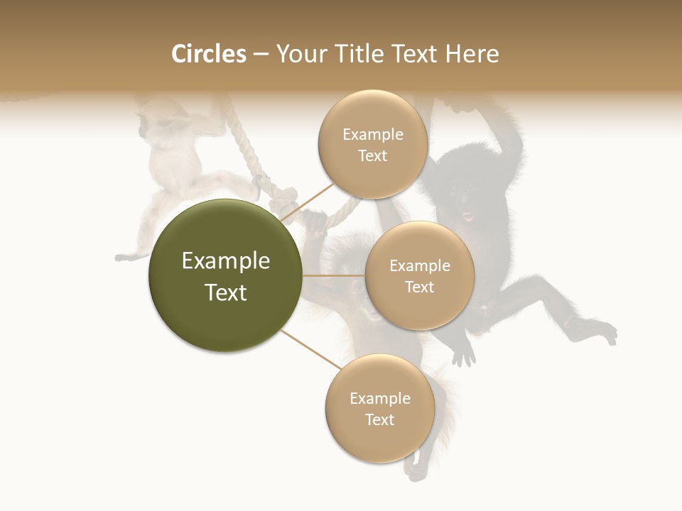 No People Hanging Bonobo PowerPoint Template