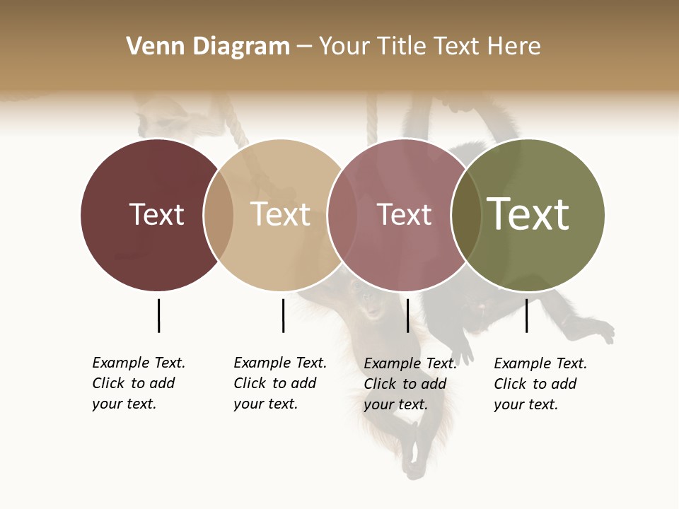 No People Hanging Bonobo PowerPoint Template