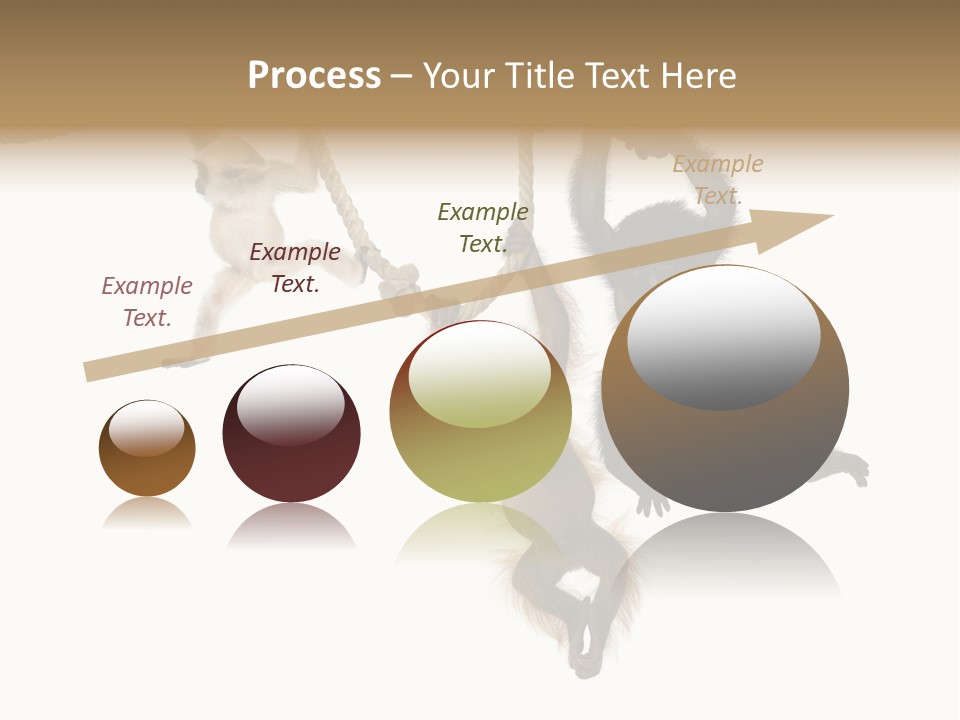 No People Hanging Bonobo PowerPoint Template