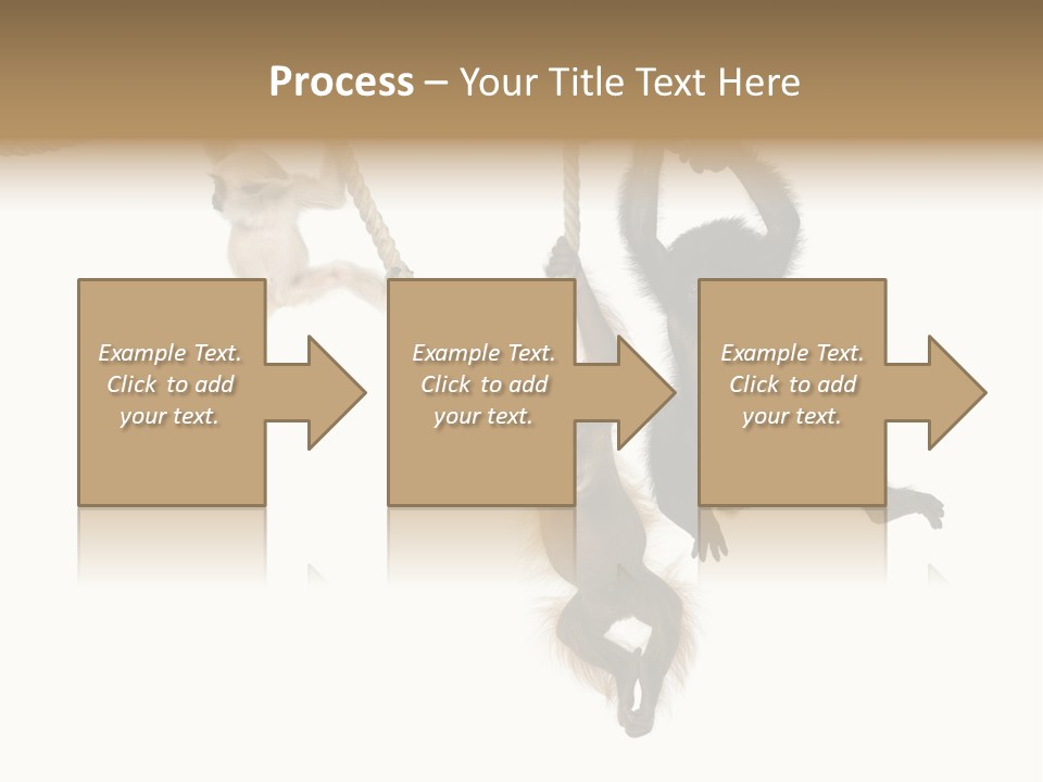 No People Hanging Bonobo PowerPoint Template