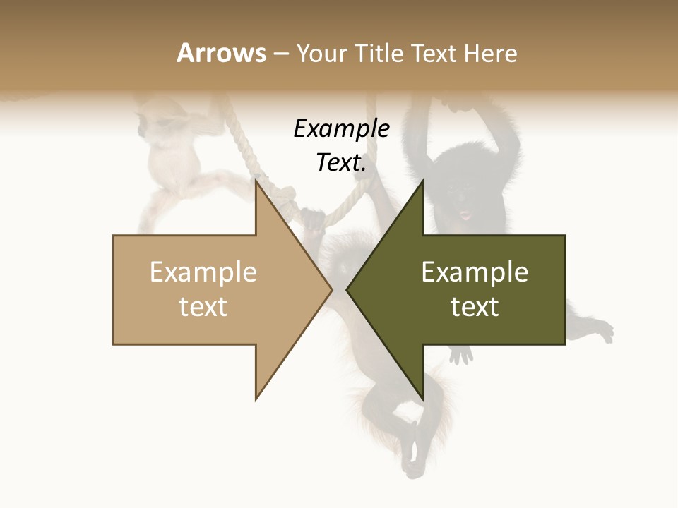 No People Hanging Bonobo PowerPoint Template