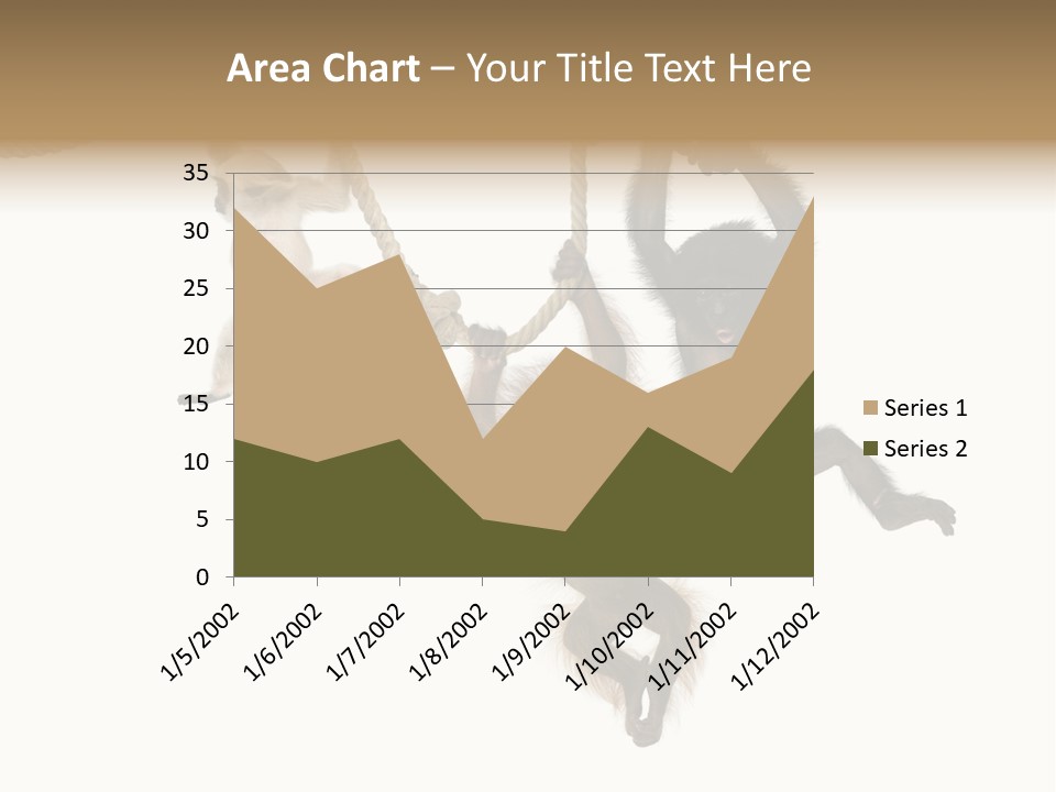 No People Hanging Bonobo PowerPoint Template