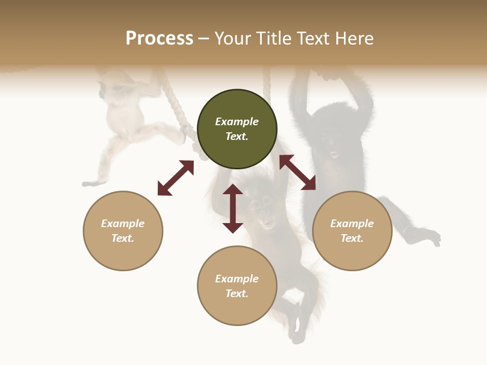 No People Hanging Bonobo PowerPoint Template